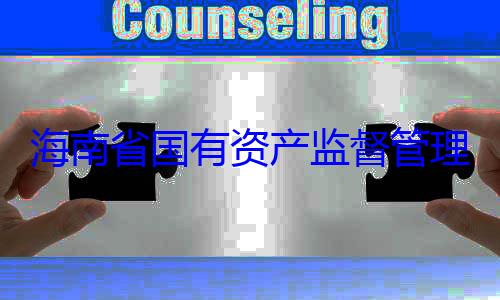 海南省国有资产监督管委副书记王有福接受审理委员会党查调查